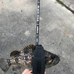 メバルを求めて(遠征②)