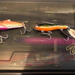 河口域ルアーゲーム