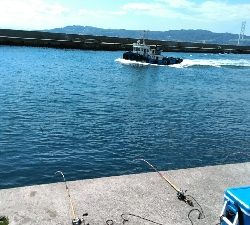 コブダイ釣り？