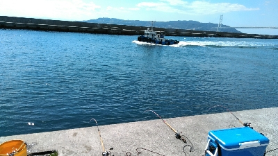 コブダイ釣り？