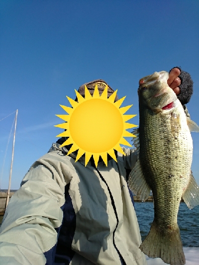 シラウオパターン