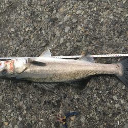 セットアッパーでスズキ