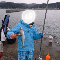 子どもとサビキ釣り