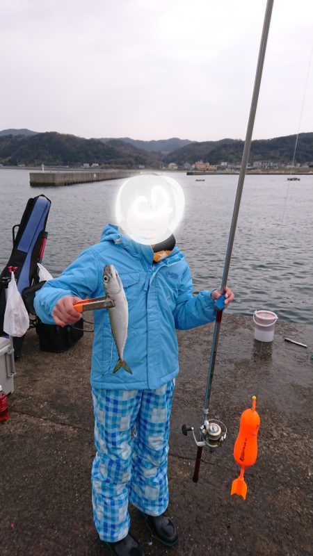 子どもとサビキ釣り