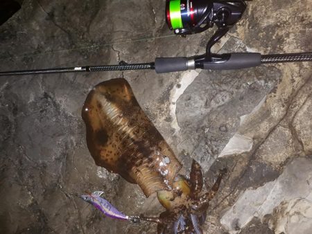 久しぶりの釣行