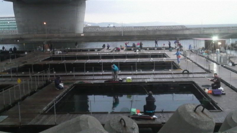 激渋　三目釣り