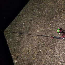 アオリきたー!!