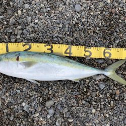 Tオヤジ  ダッシュ ショアジギングIN煙樹ヶ浜