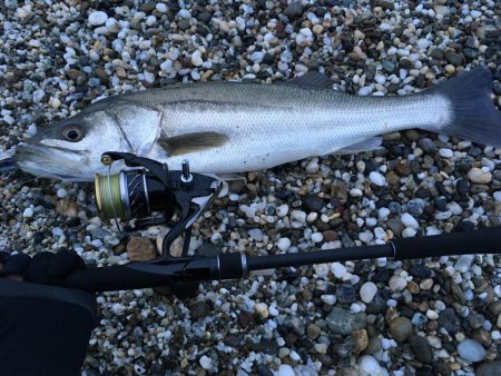 シモリパターン