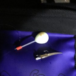 釣り人いない、メバルいない