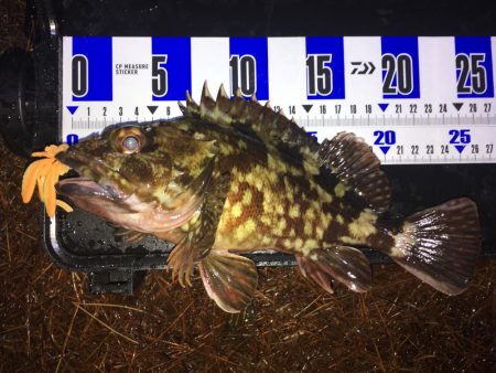 雨には勝てない