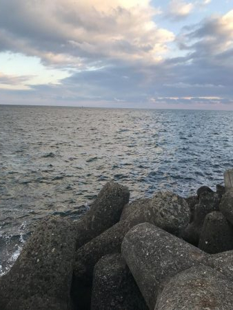 ブリおらんやろー