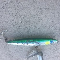 ライトショアジギング