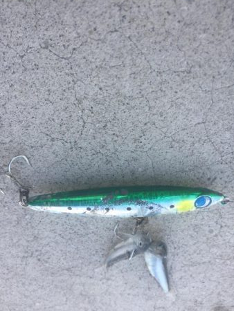 ライトショアジギング