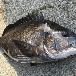 暖かくなってきた