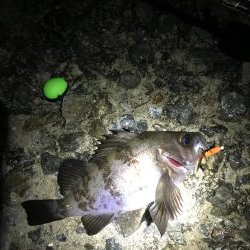 雨上がりまずまず