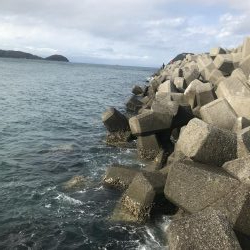 エサなしサビキでも^ ^