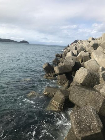 エサなしサビキでも^ ^