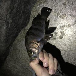 ちびっ子たくさん