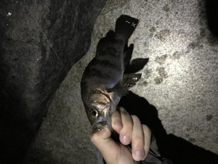 ちびっ子たくさん