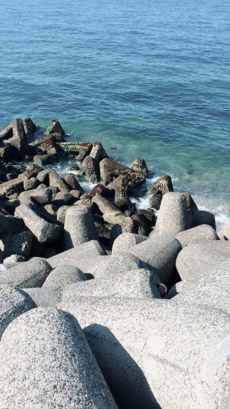 カレイ釣りに挑戦