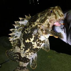 遠征メバリング