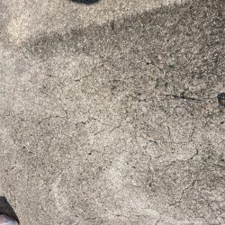 イワシのサビキ釣り