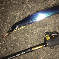 アジングでタチング