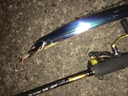 アジングでタチング