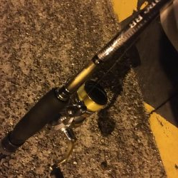 加太で 一瞬の時合い