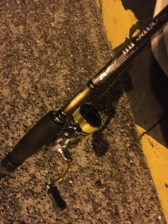 加太で 一瞬の時合い