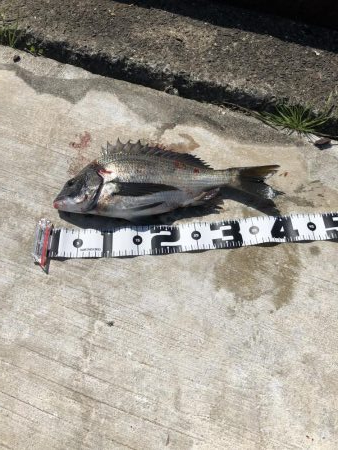 んー、寂しい。