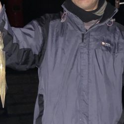 ヤリイカ終盤、厳しい〜