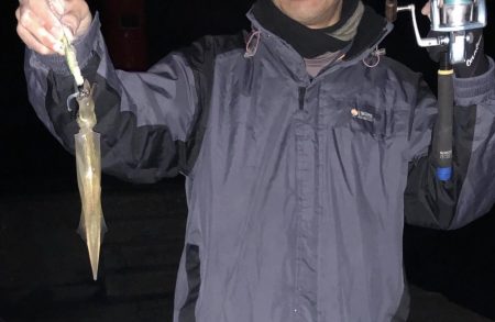 ヤリイカ終盤、厳しい〜