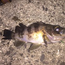 出張先の楽しみ⑤