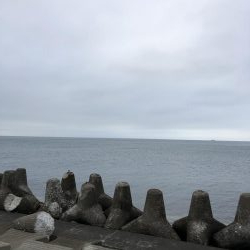 セットアッパーいわし