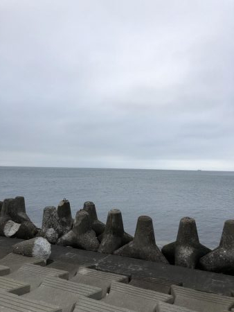 セットアッパーいわし