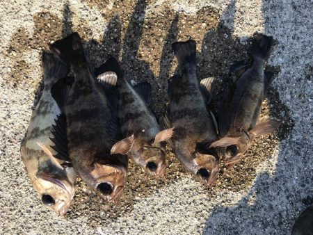 早起きは、期待外れ