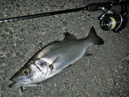 良い引きでした