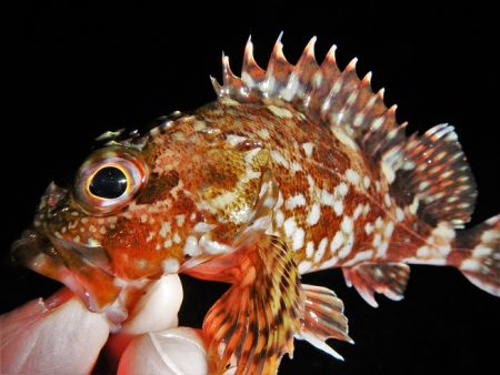 爆風、そして雨
