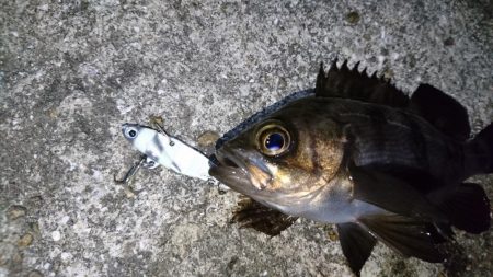 流れが速い時はメタル！！