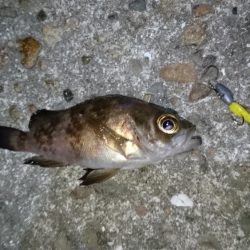 今夜は厳しい戦い！！