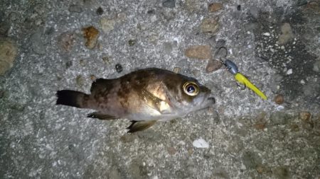 今夜は厳しい戦い！！