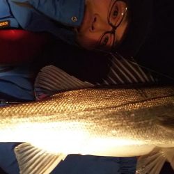 ボートシーバス&メバル