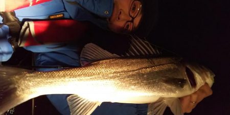 ボートシーバス&メバル