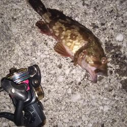 暖かくなったので……