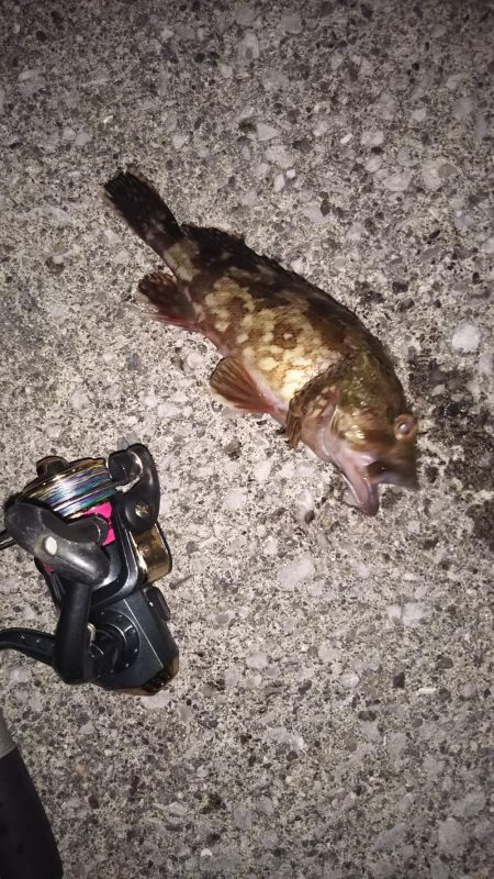 暖かくなったので……