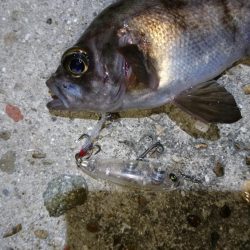 今夜は何でもあり？！