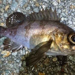 小雨降る中少しだけ