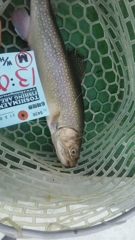 としまえんフィッシングエリア トラウトコレ…